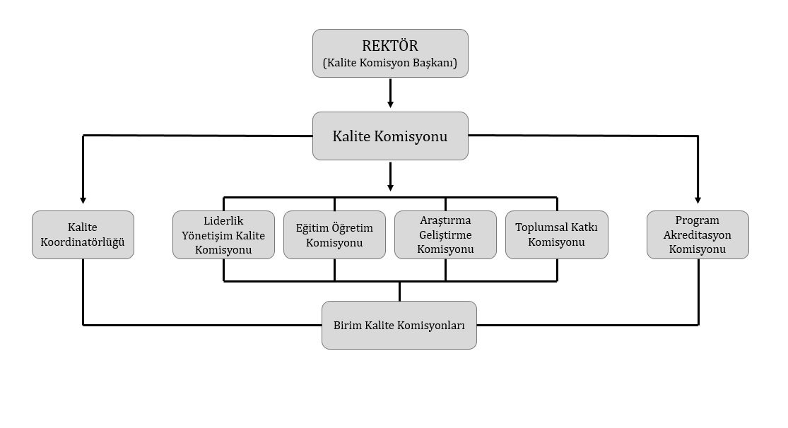 organIzasyon.jpg