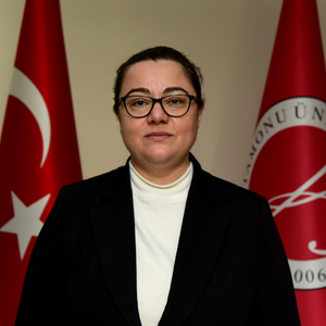 Doç. Dr. Nesrin İÇLİ